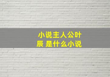 小说主人公叶辰 是什么小说